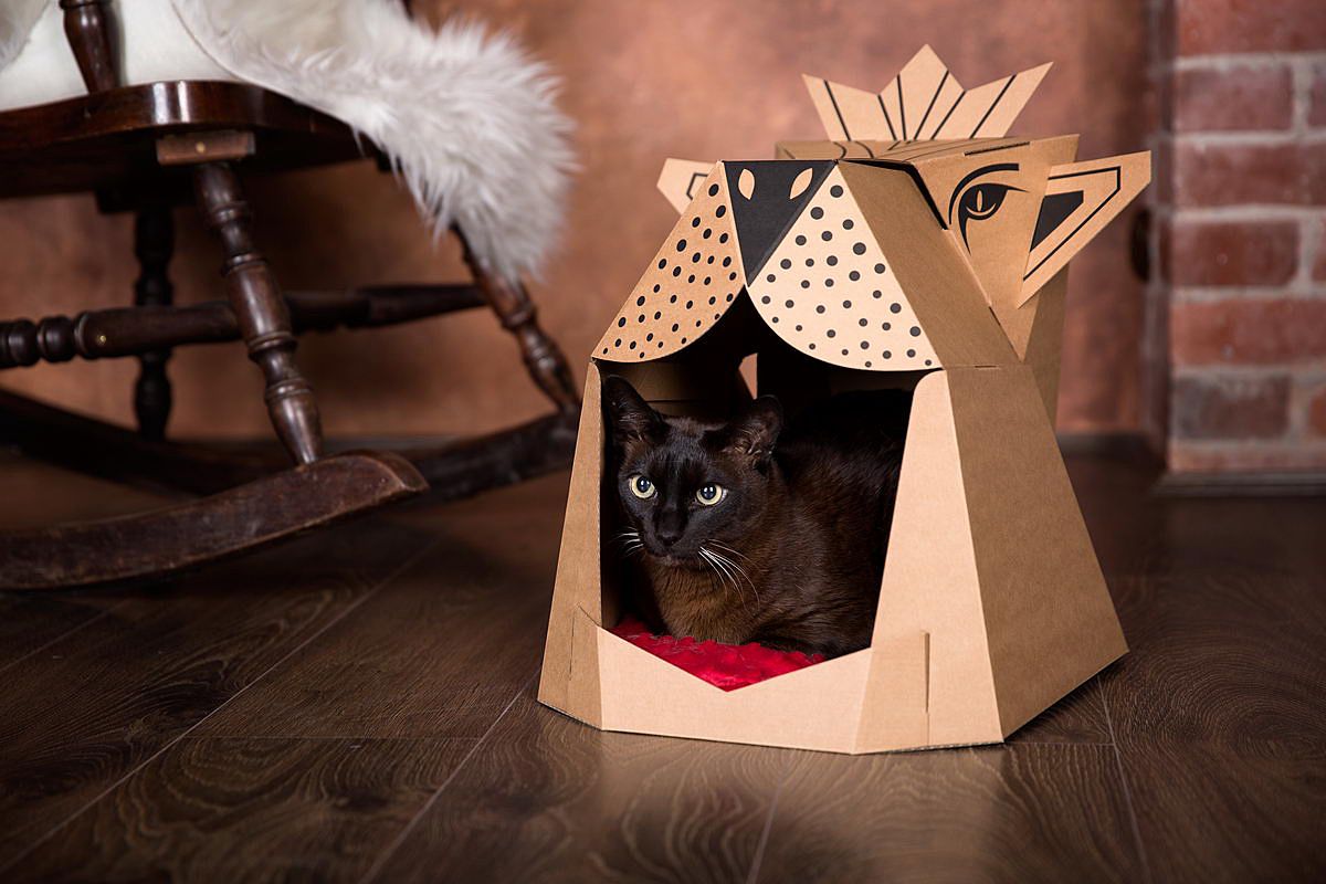 kartonowy domek dla kota lew catlando