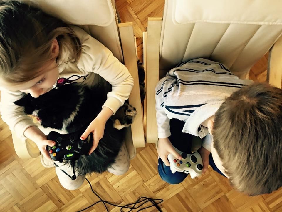 chase no face kot bez twarzy