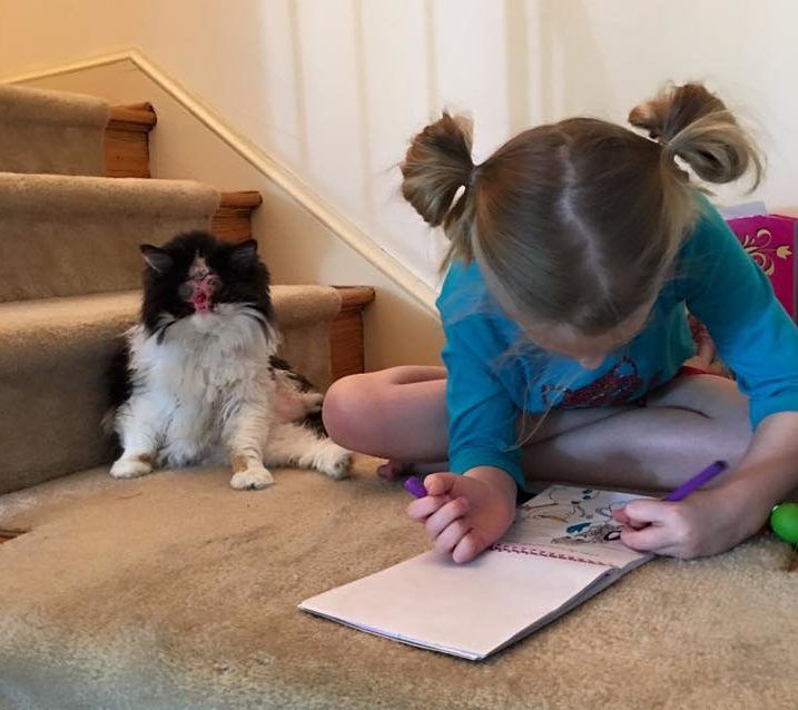 chase no face i dzeiwczynka