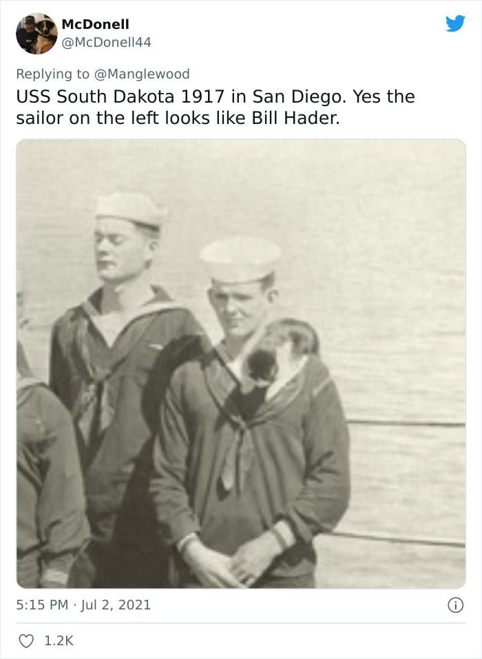 Twitter User Shared 14 Historical Photos Of Cats Chilling In Their Tiny Hammocks Aboard Naval Ships