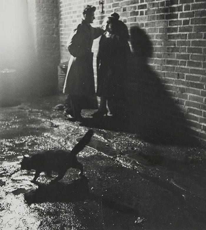 koty londynu thurston hopkins