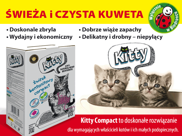 żwirek kitty