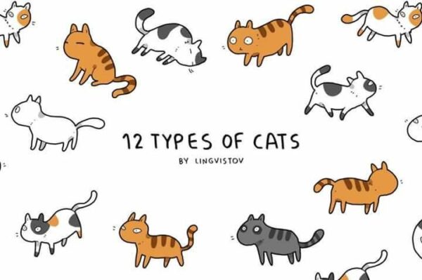 różne typy kotów