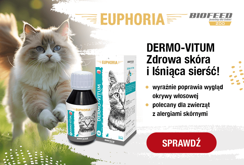 pielęgnacja kociego alergika