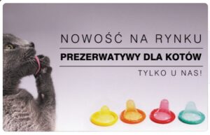 prezerwatywy dla kotów