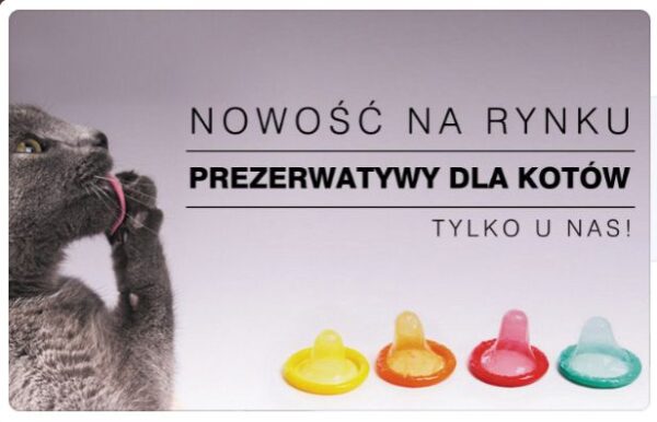 prezerwatywy dla kotów