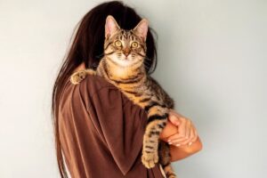 5 błędów kociarzy