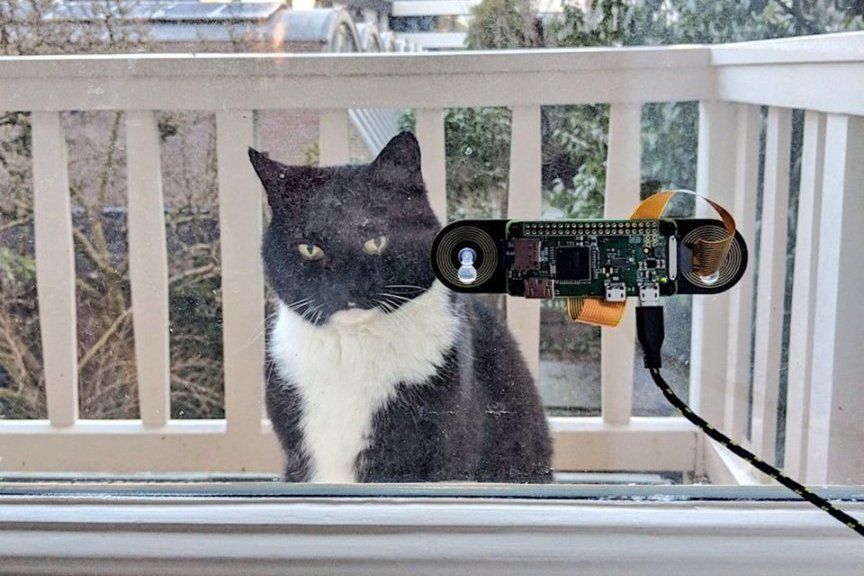 drzwiczki dla kota, urządzenie do rozpoznawania kociego pyszczka