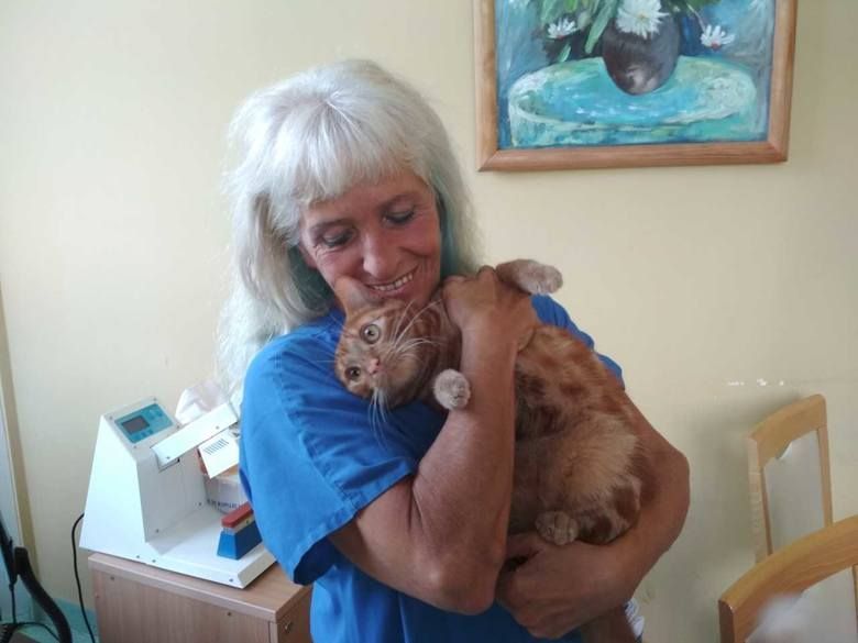 koci terapeuta Franek