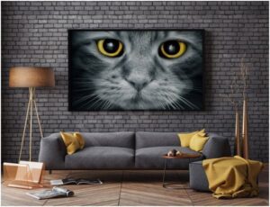 redro plakat z kotem