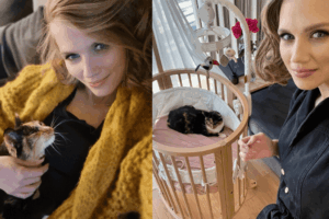 kot w łóżeczku dziecka