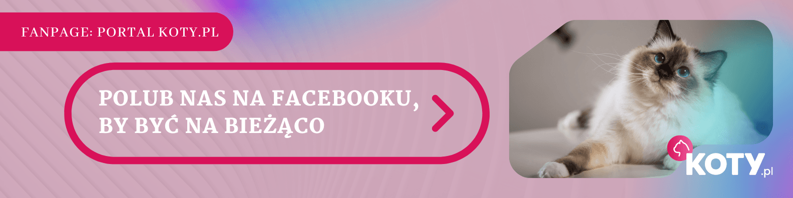 Baner Fanpage portal koty.pl Facebook