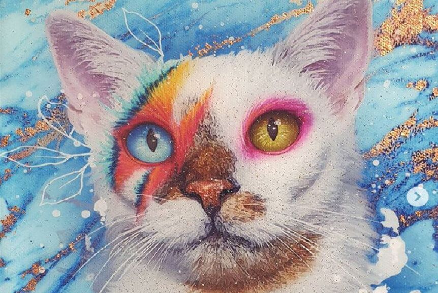 Kot z dwukolorowymi oczami podbija Internet!