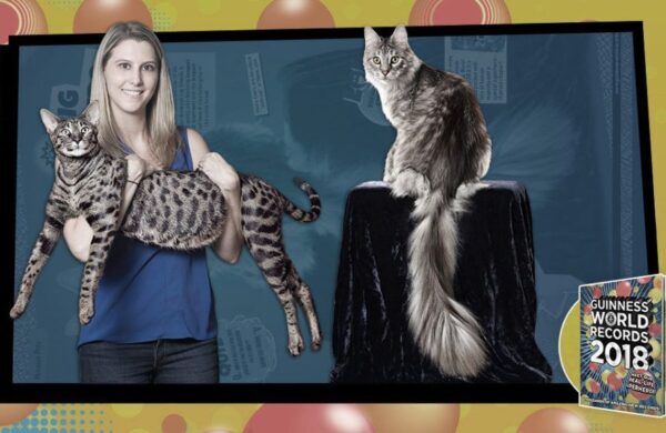 Koci rekordziści zginęli w pożarze Cygnus i Arcturus