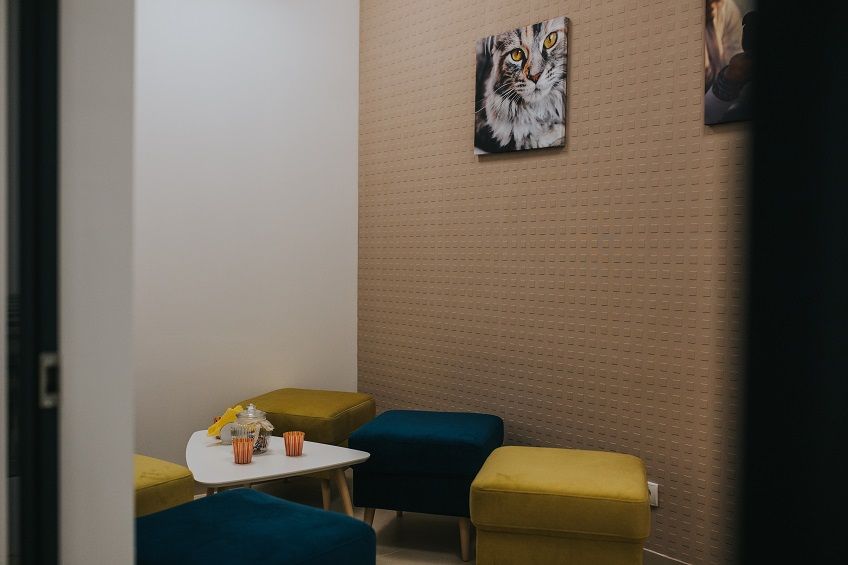 śmierci ukochanego zwierzęcia