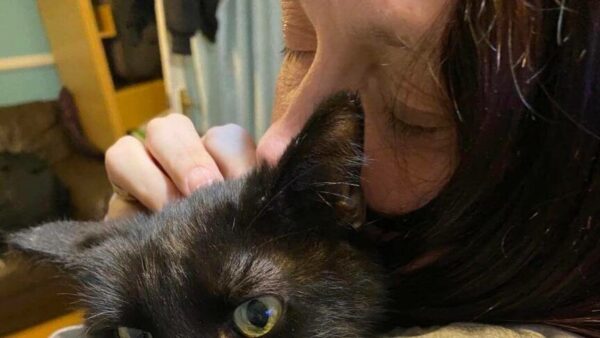 rozpoznała swojego kota przez telefon