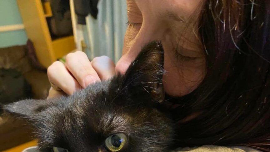 rozpoznała swojego kota przez telefon