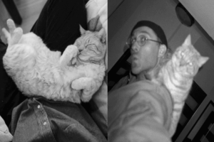 Filip Bobek pożegnał kota