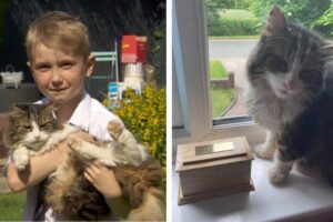 Frankie wrócił do domu