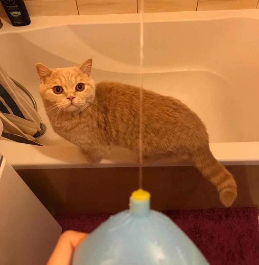 Fiona i zabawy psikawką