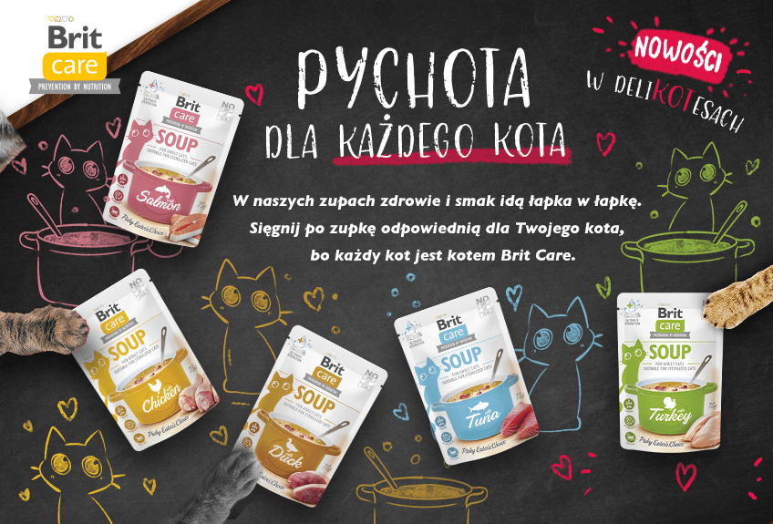 5 powodów by podawać kotu zupki - brit