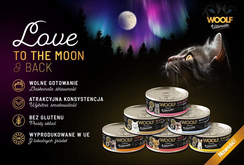 co robić, gdy kot nie chce jeść mokrej karmy - woolf