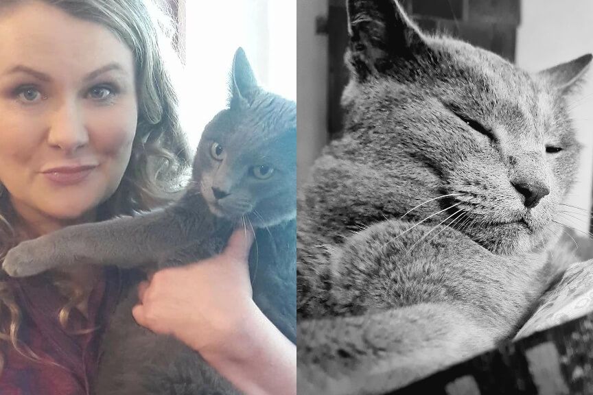 Katarzyna Piekarska pożegnała kota Blutka