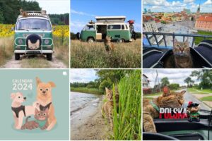 Nala od bezdomności po podróże po świecie