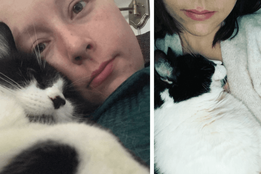 kot pomógł wykryć raka