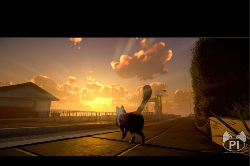 Peace Island - gra na kocich zasadach