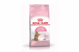Royal Canin Kitten Sterilised sucha karma