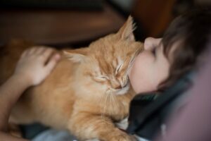 Rasy kotów które nie skąpią miłości