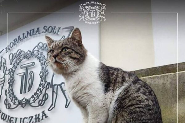 Ryszard - pracownik kopalni soli