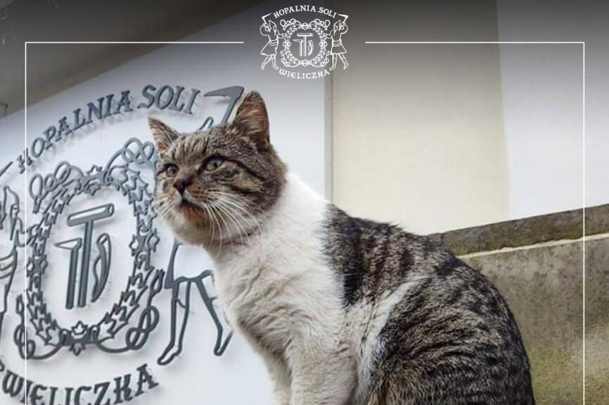 Ryszard - pracownik kopalni soli