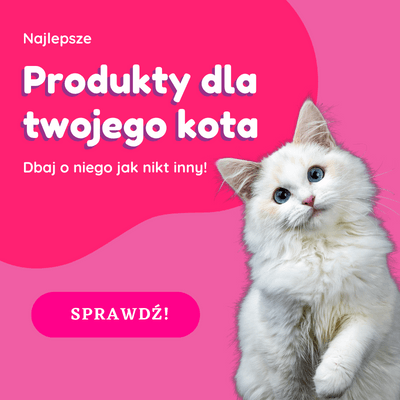 dbaj o kota jak nikt inny