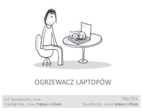 Rysunkowy kot leży a laptopie