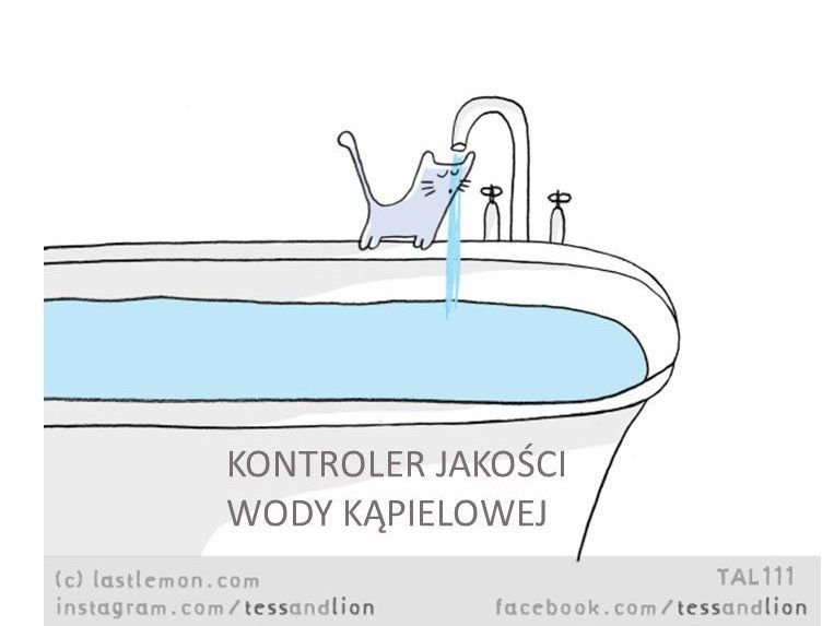 Rysunkowy kot stoi na wannie pełnej wody