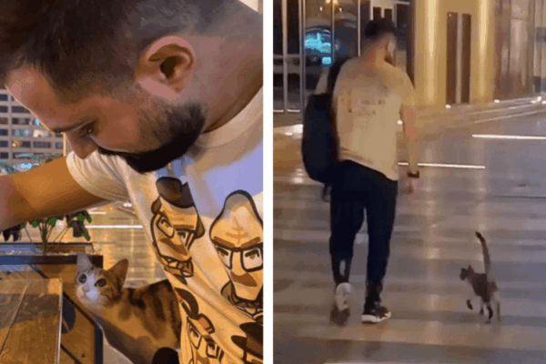 Sophie wybrała sobie opiekuna