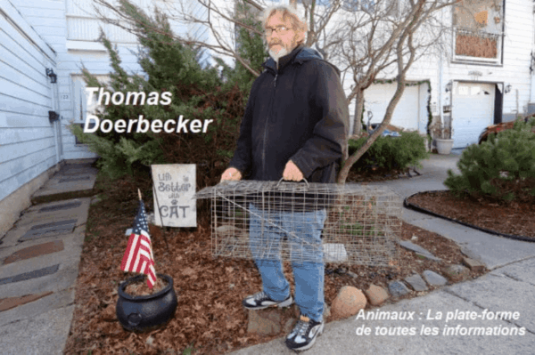 pracownik stacji metra ratuje koty z torów kolejowych