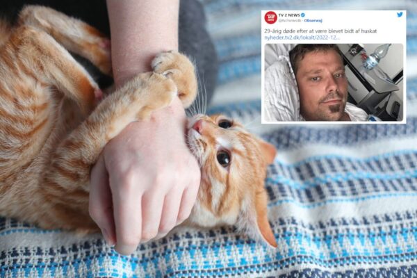 Ugryzienie przez kota