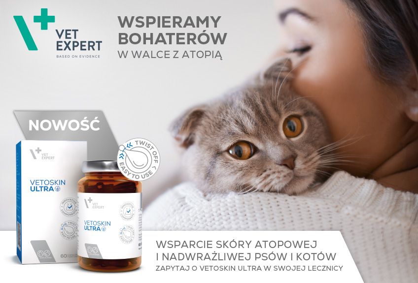 VET-KV-kot-848x575 px 2.jpg