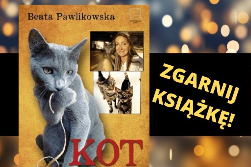książka kot dla początkujących