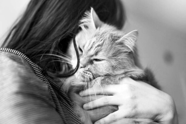 aforyzmy po śmierci kota