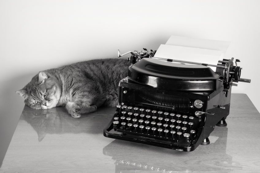 alcott śnieżna łapka