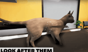 animal shelter simulator