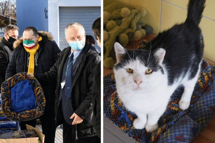 nowe życie autobusowej tapicerki