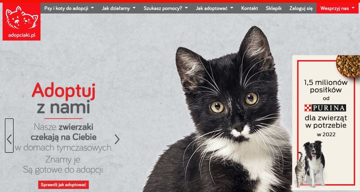 baner adopciaki