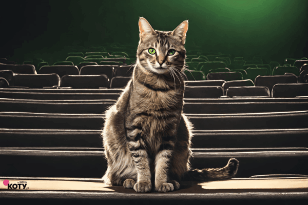 beerbohm kot teatralny