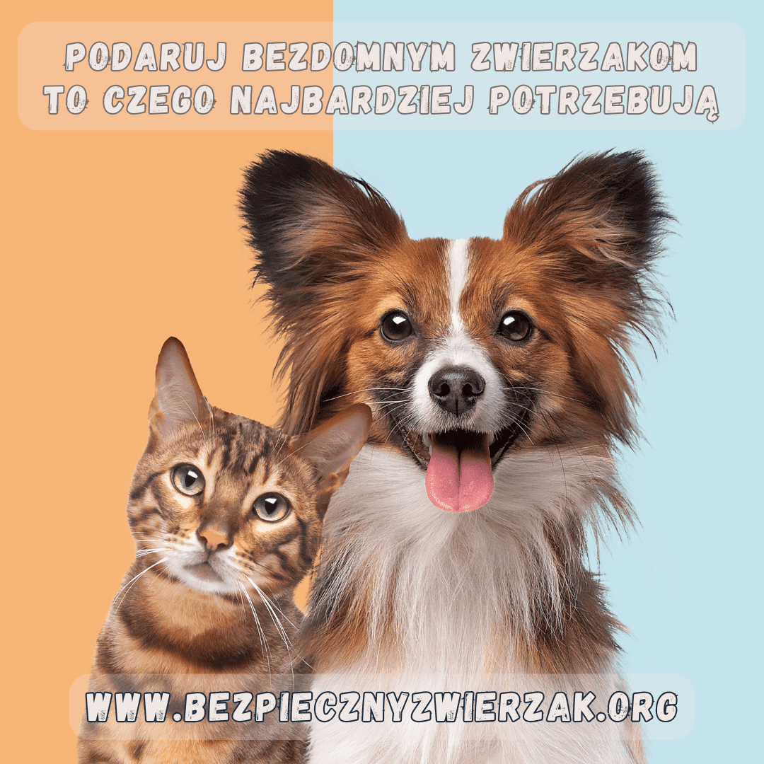 akcja bezpieczny zwierzak