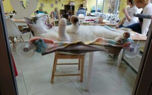 kot w oknie kociej kawiarni Biały Kot